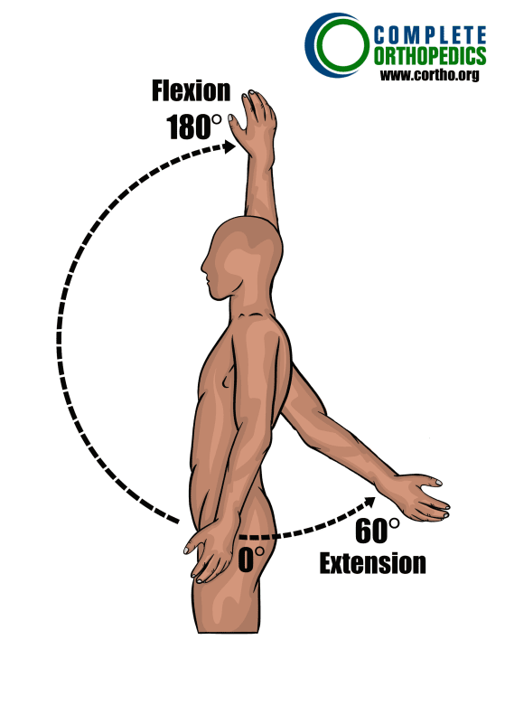 Flexión y extensión del hombro para evaluar la pérdida de movimiento y calcular la pérdida de uso programada para un paciente de compensación laboral