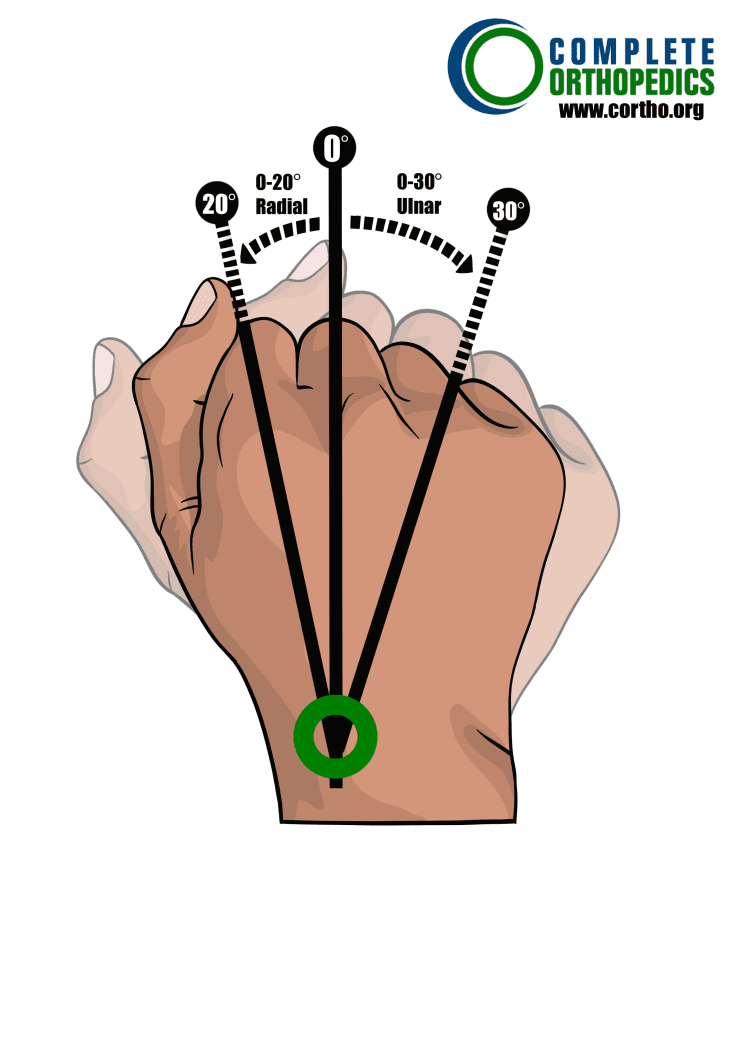Articulación carpomatacarpiana del movimiento radial y cubital de la muñeca para evaluar la pérdida de movimiento y calcular la pérdida de uso programada para pacientes de compensación laboral